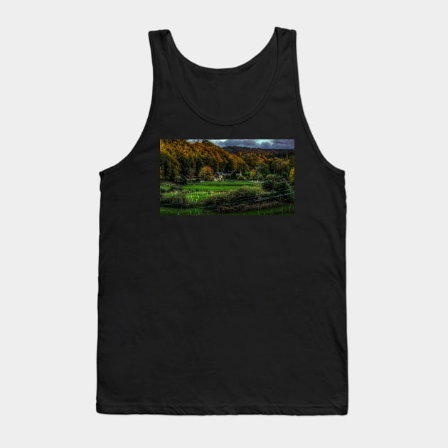 A Horse In A Northumberland Field Tank Top by axp7884